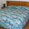 1st image description