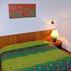 1st image description