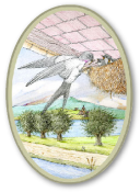 Logo Agriturismo Gon