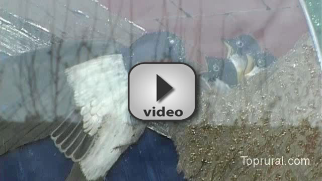 Video di proprietario - Al Nit de Sisilis I � 0